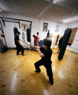 wing chun long pole